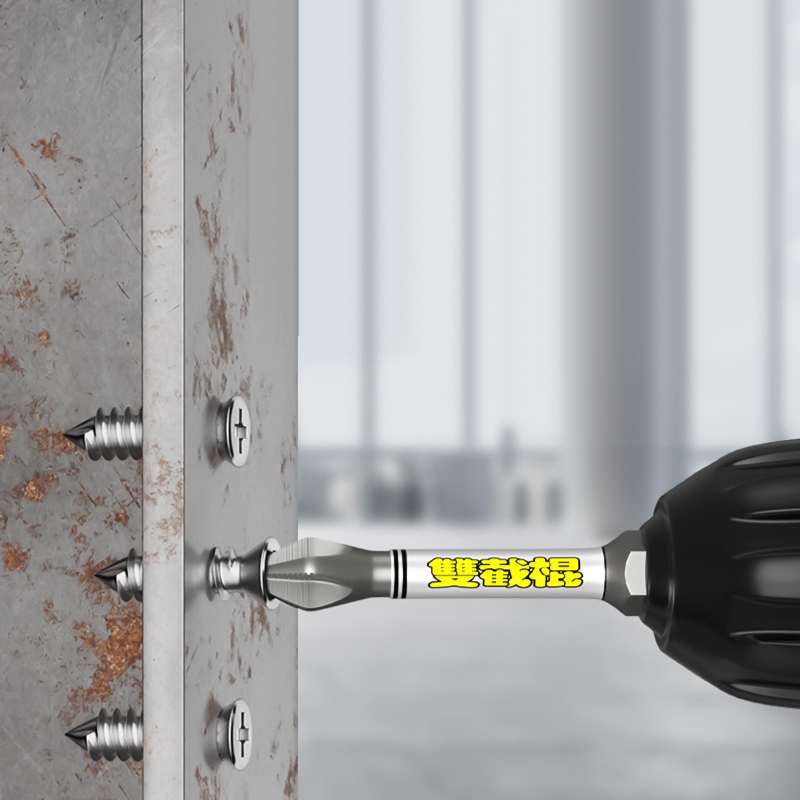 Juego de puntas de destornilla - Tools For Garage Workshop reseña y precio